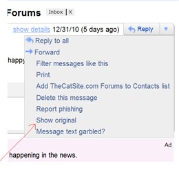 view headers in gmail